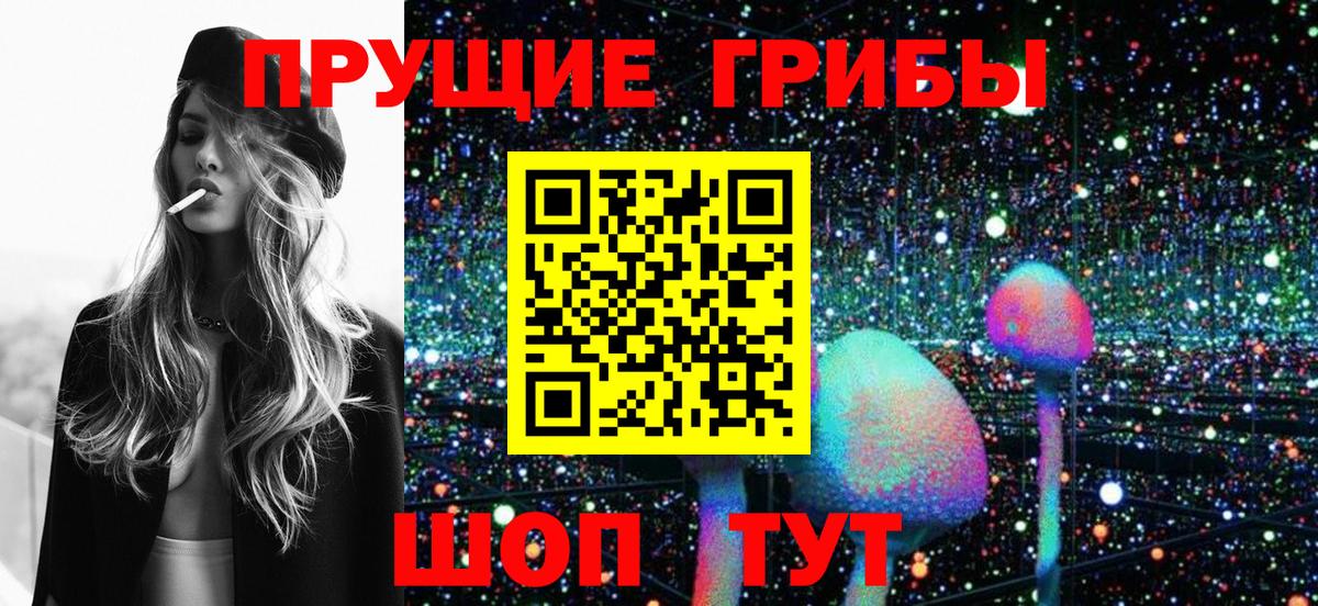 Назрань  Псилоцибиновые грибы Psilocybe  Вход с VPN  Псилоцибиновые грибы MAGIC MUSHROOMS 